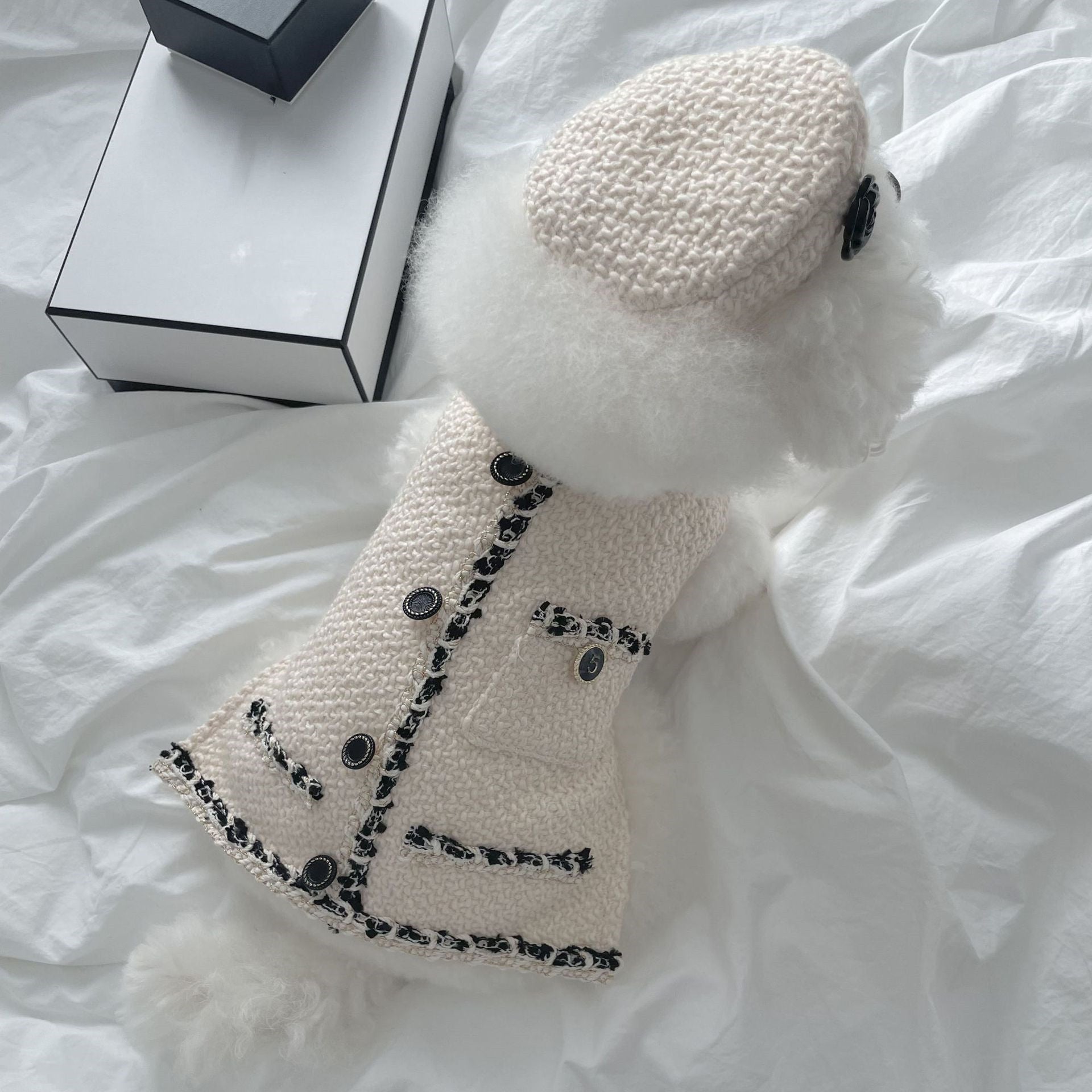 Neko Knit — worn by pet